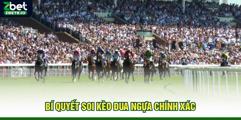 Bí quyết soi kèo đua ngựa chính xác