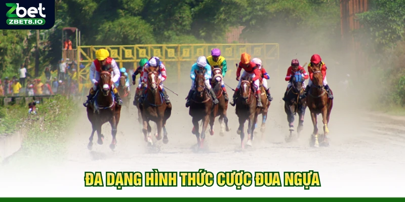 Đa dạng hình thức cược đua ngựa