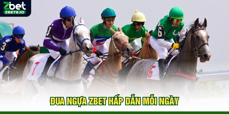Đua ngựa Zbet hấp dẫn mỗi ngày